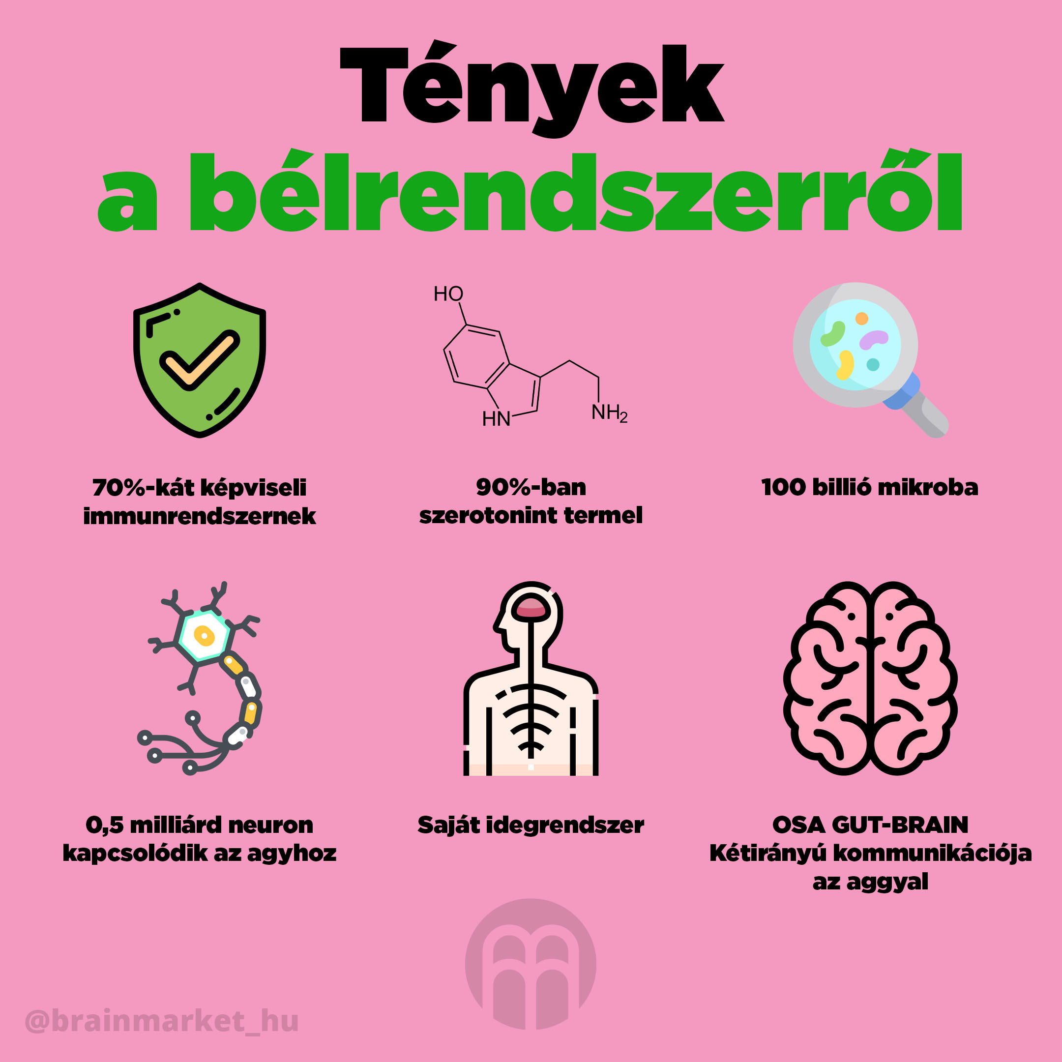 fakta_o_streve_Infografika_Instagram_BrainMarket HU